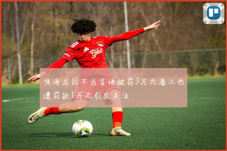 焦海龙因不当言语被罚3万元潘江也遭罚款1万元引发关注