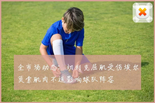 全市场动态：切利克屈肌受伤埃尔莫索肌肉不适影响球队阵容
