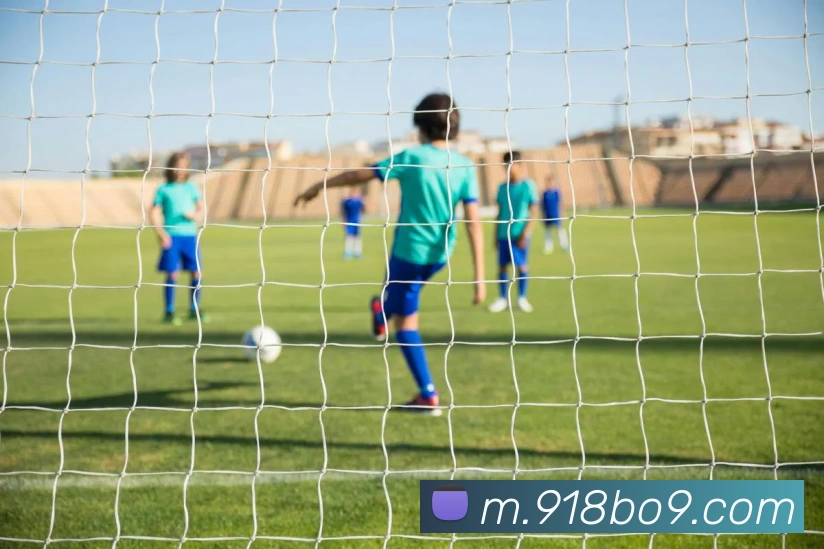 918博天堂平台生态图